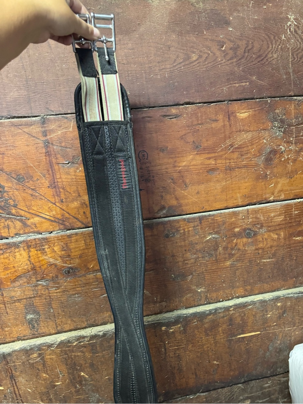 Thorowgood Equestrian Girth